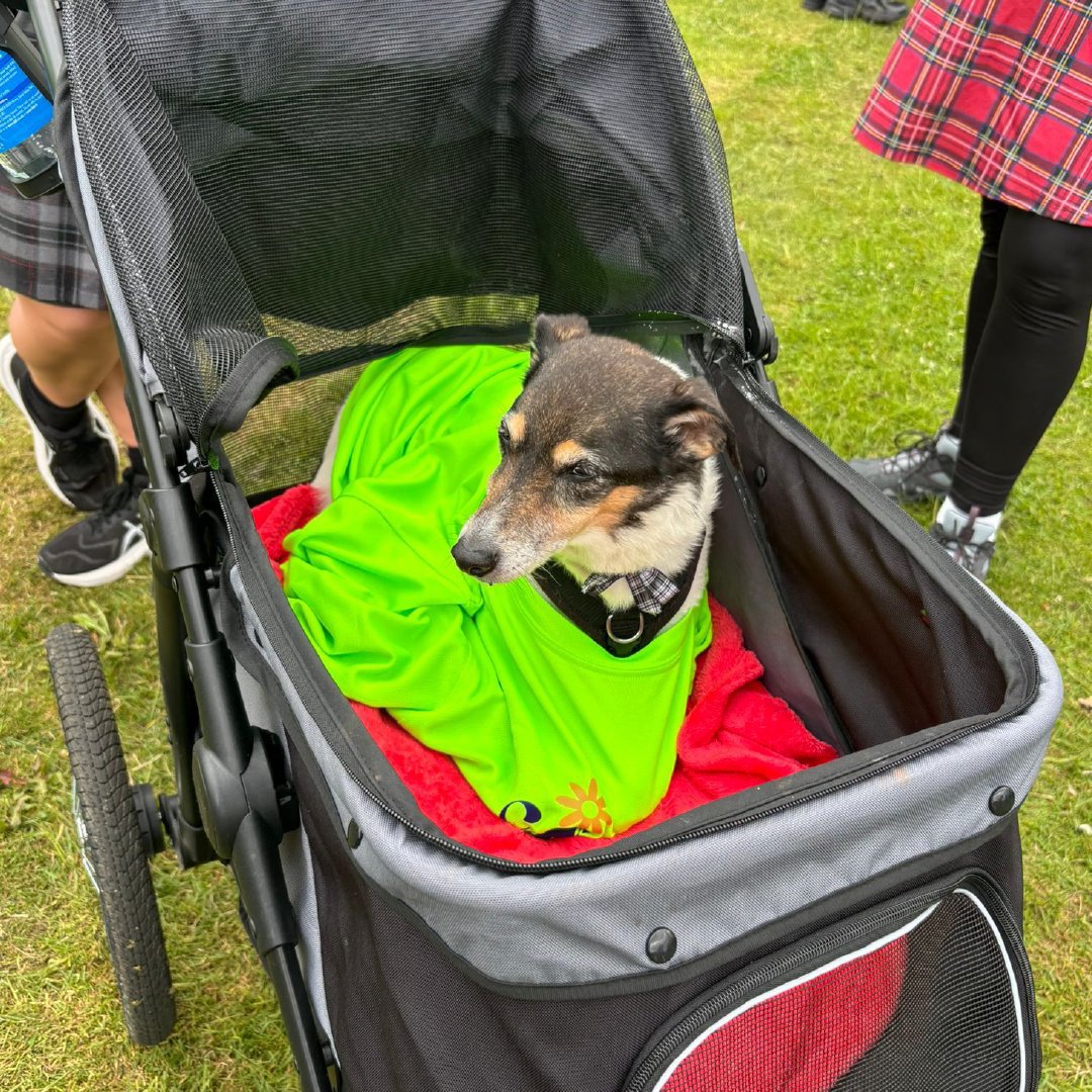Record-breaking turnout for Friends at Aberdeen Kiltwalk 2026