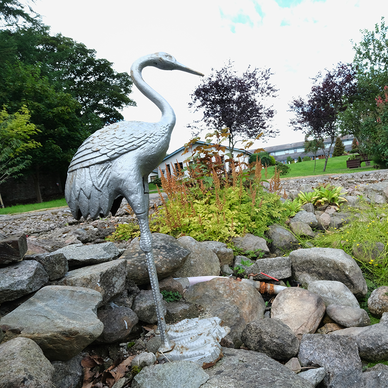 ornamental stork in the gardens at Roxburghe House Aberdeen